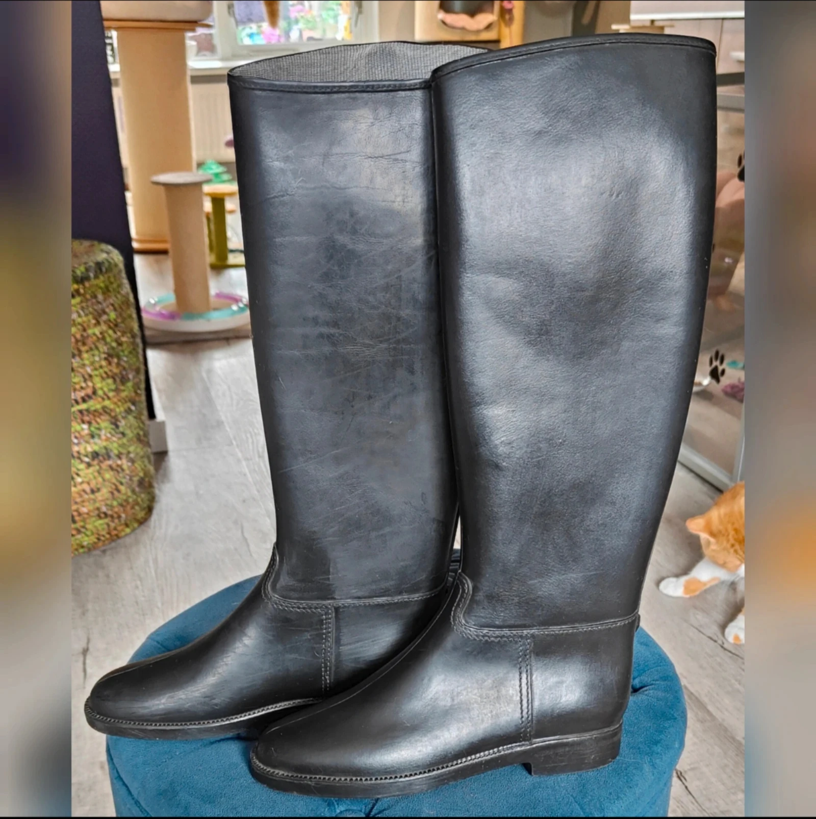 Black Riding Boots, Winner Riding Boots size 36 – photo 3